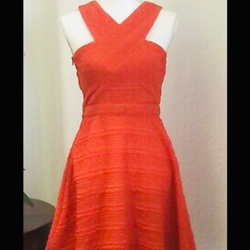 Mini Sugarlips Orange Dress, Size S